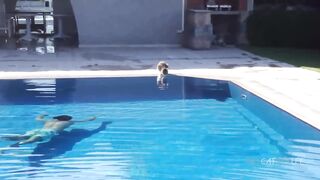 Scaredy Cats Compilation 9