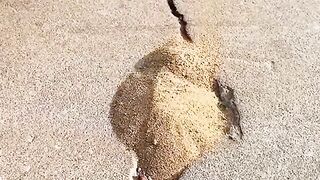 What happens when you combine sand & sealant!