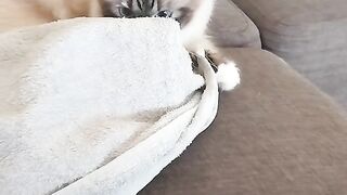 Cute Gaïa♥️