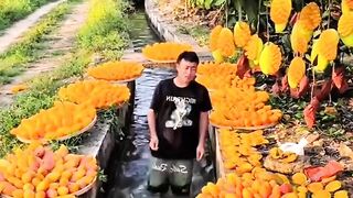 Fruit 8