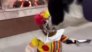 currently exploring the role