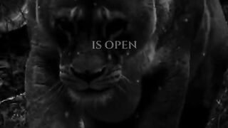 Motivational speech 24
