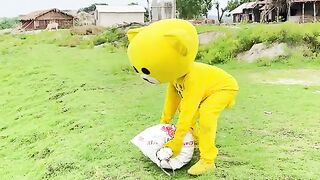 Teady funny video 2