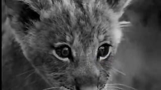 I love you mom. Wait till the end if you love you mom