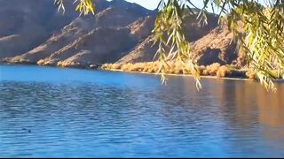 اااااااتلتلاوات  من صلاة التراويح بجامع الجزائر  بصوت عبد العزيز سحيم