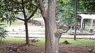 Campus park