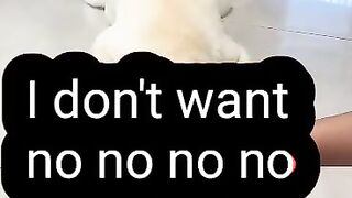 I don't want no no