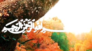 تلاوة تقشعر لها الابدان للقارئ عبد الرحمان مسعد
