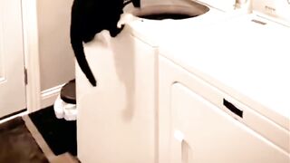 More videos  "Follow" OR "Like" #prank #funny #funniest #love #motivation #humor #meme #tiktok #Facebook #food #explore #girl #women #success 2