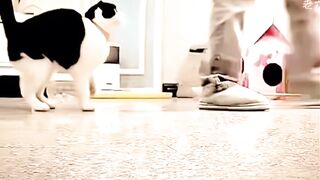More videos  "Follow" OR "Like" #prank #funny #funniest #love #motivation #humor #meme #tiktok #Facebook #food #explore #girl #women #success 3