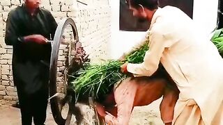 funny and Comedy Video
