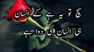 aqwal e zareen status|urdu shayari status#ytshorts#quotes#foryou