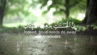 تلاوة من سورة هود القارئ اني محمد
