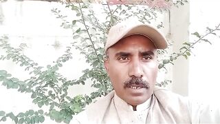 کھاریاں اتووالہ نہر میں ڈوب کر گلگت کا رھائشی نوجوان جان قعہ