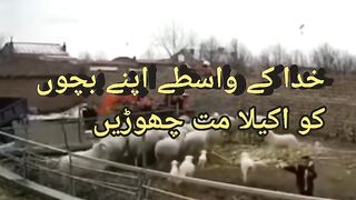 Original video 2