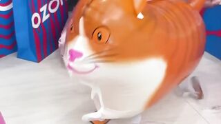 Love story cat cats
