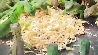 Lizards eating food