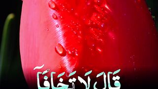 Quran Surah 30