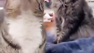 strange movement