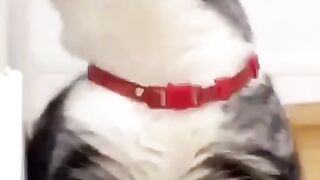 so adorable