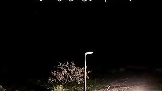 حلات 2