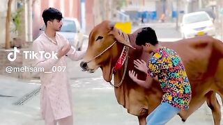 Very funny video 58