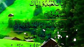 Tilawat Quran q