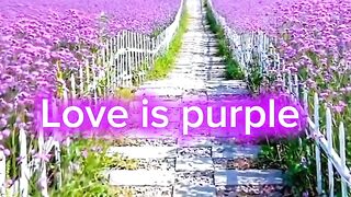 Wow, purple!