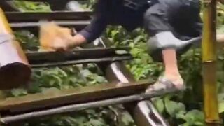 Funny video