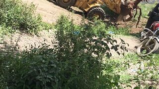 Oh my God, how did he cut down trees so professionally?