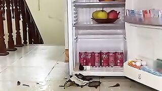 Une bêtise