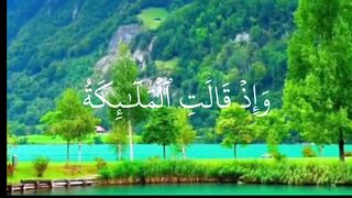 تلاوات خاشعة القارئ محمد الفقيه