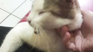 Nemo sangat manja