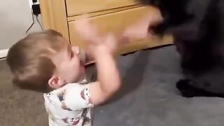 cat playing with kids 2