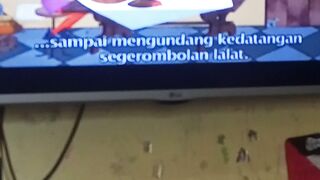 Story tell of Marsha