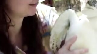 you restart funny animals