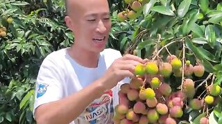 Fruit fun 9