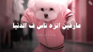 بعد اذن الناس????????❤️_فيديوهات????????????
