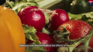 Is freezing food harmful to health
