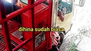 ayam broiler || kata kata lucu 433