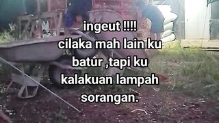 ayam broiler || kata kata lucu 436