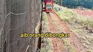 ayam broiler || kata kata lucu 437
