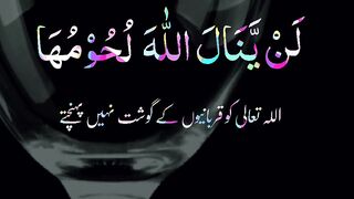 Quran Surah 33