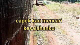 ayam broiler || kata kata lucu 438