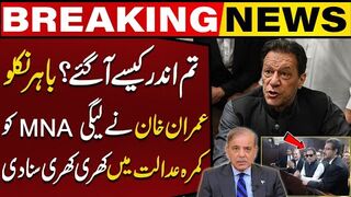 Get Out Imran Khan Got Hyper On PML N MNA In Court