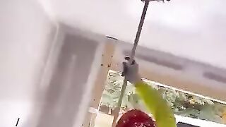 Genius builders