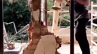 Work smarter not harder 4