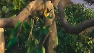Beautiful video of nature