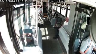 Deer smashes through bus windshield
