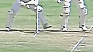 Cricket funny Moment